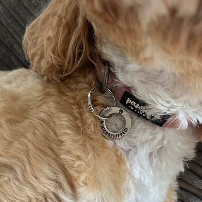 I Am Chipped - Solid Stainless Steel ID Tag